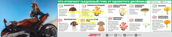 a pvp Белоозёрский