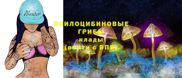 a pvp Белоозёрский