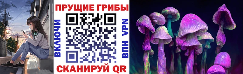 Псилоцибиновые грибы MAGIC MUSHROOMS  ОМГ ОМГ как войти  Могоча  где найти наркотики 